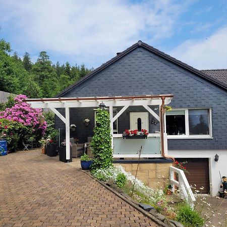 Gaestezimmer Haus Talblick Lautenthal Kültér fotó