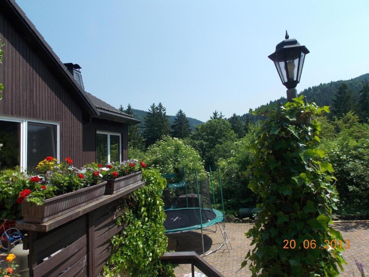 Gaestezimmer Haus Talblick Lautenthal Kültér fotó