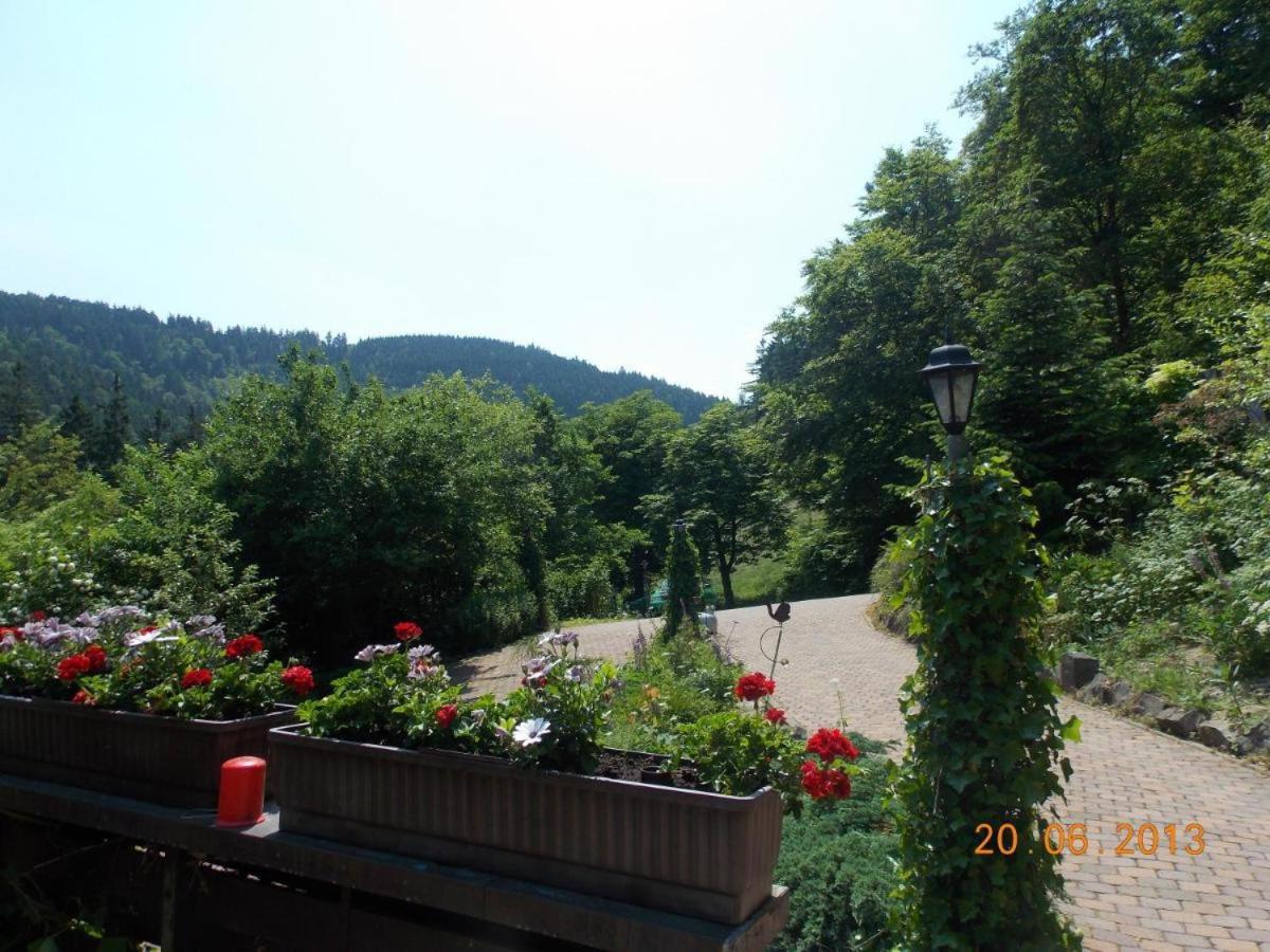 Gaestezimmer Haus Talblick Lautenthal Kültér fotó